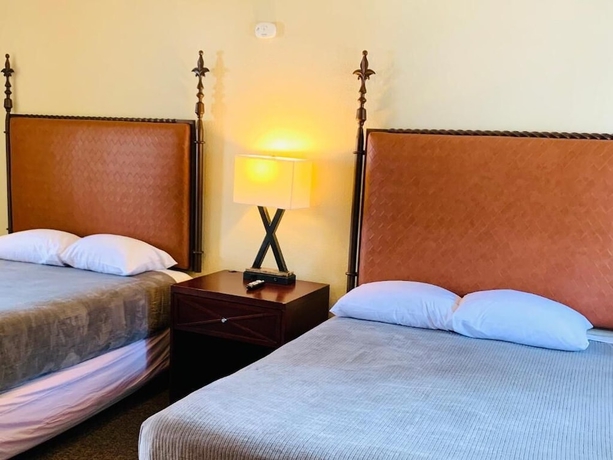 Imagen de la habitación del Hotel Snow Bear Lodge. Foto 15