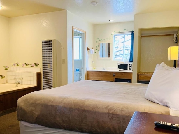 Imagen de la habitación del Hotel Snow Bear Lodge. Foto 18