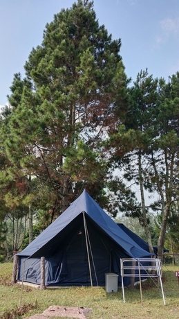 Imagen de la habitación del Hotel Snow Princess Mountain Glamping Resort at Clubbali, Lembang. Foto 14
