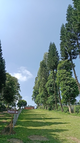 Imagen general del Hotel Snow Princess Mountain Glamping Resort at Clubbali, Lembang. Foto 3