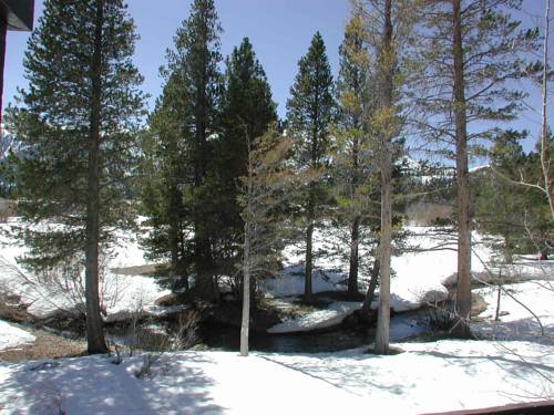 Imagen de la habitación del Hotel Snowcreek Resort. Foto 6