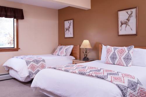 Imagen de la habitación del Hotel Snowed Inn. Foto 7