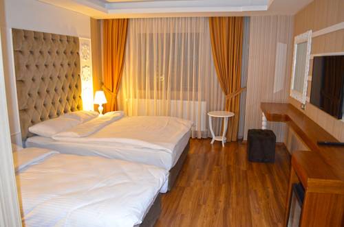 Imagen de la habitación del Hotel Snowflake Dag. Foto 3