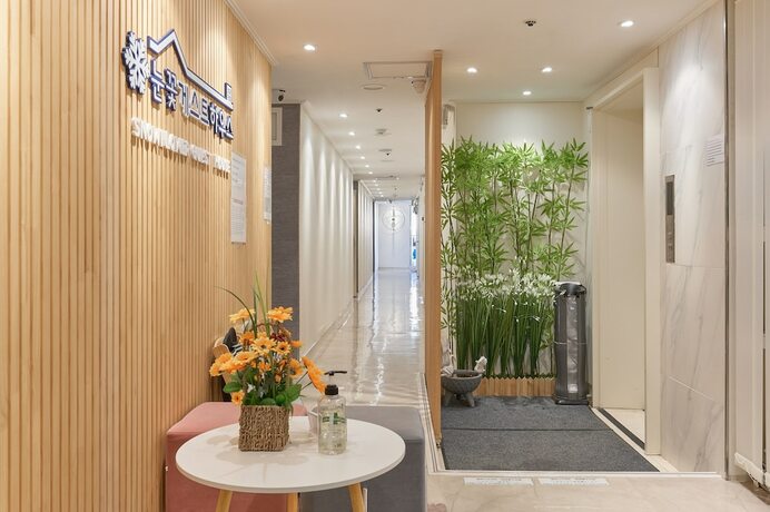 Imagen general del Hotel Snowflower Guesthouse. Foto 7