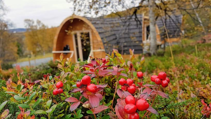 Imagen de la habitación del Hotel Snowhotel Kirkenes. Foto 8