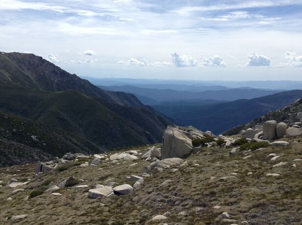 Imagen general del Hotel Snowy Mountains Motor Inn. Foto 10