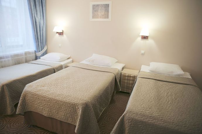 Imagen de la habitación del Hotel Snowy Owl. Foto 8