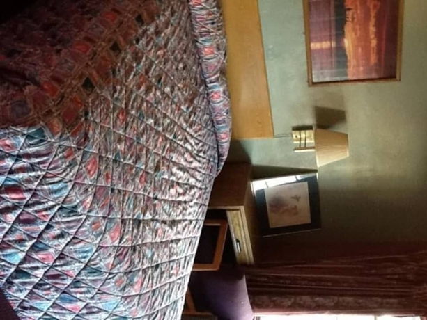 Imagen de la habitación del Hotel Snowy River Inn. Foto 3