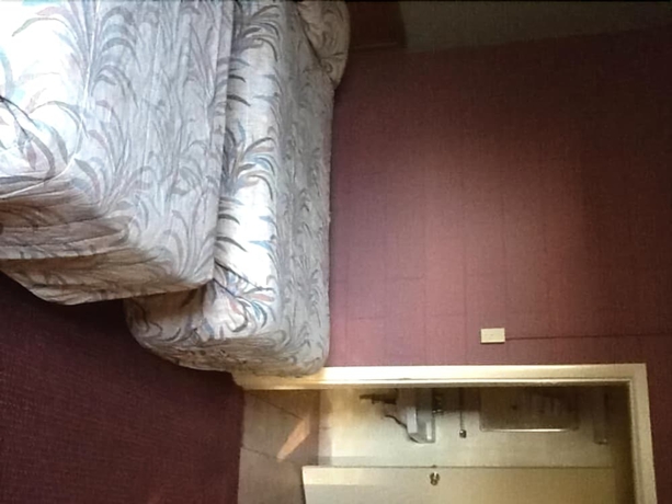 Imagen de la habitación del Hotel Snowy River Inn. Foto 14