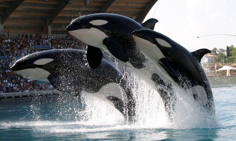 Imagen de los exteriores del Hotel SoBlue. Foto 14