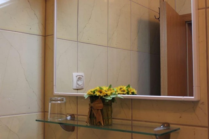 Imagen general del Hotel Sobe Petkovic. Foto 4