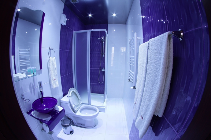 Imagen de la habitación del Hotel Sochi Palace. Foto 6