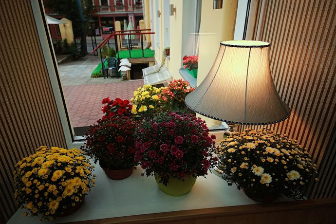 Imagen de los interiores del Hotel Sodu Rooms - Hostel. Foto 20