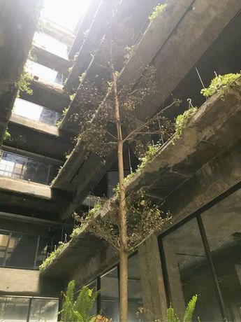 Imagen de la habitación del Hotel Sof. Foto 6