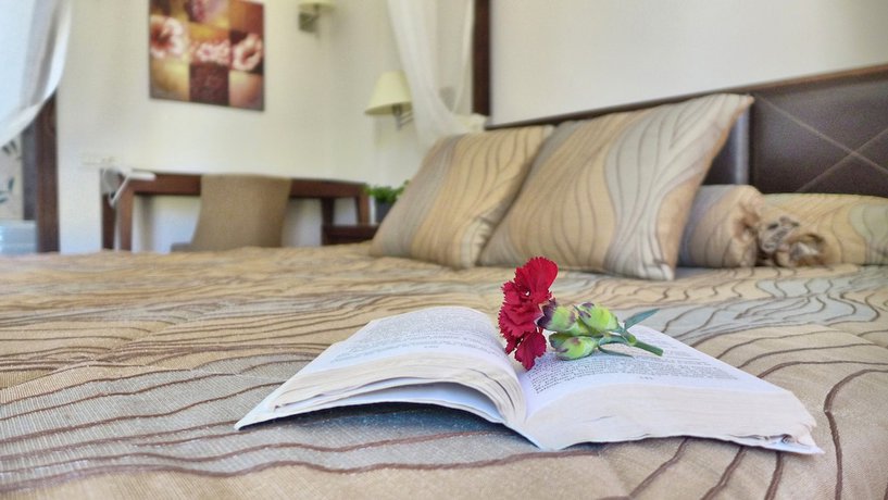 Imagen de la habitación del Hotel Sofia Resort Luxury Suites. Foto 15