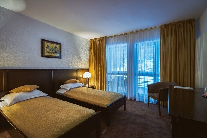 Imagen de la habitación del Hotel Sofia, Sucevita. Foto 6