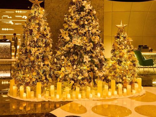 Imagen general del Hotel Sofitel Dubai Downtown. Foto 5