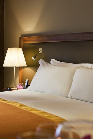 Imagen de la habitación del Hotel Sofitel Lyon Bellecour. Foto 10