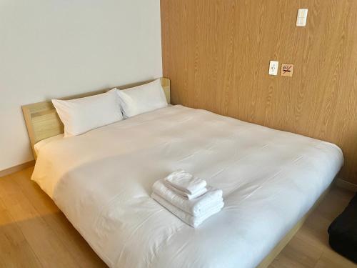 Imagen de la habitación del Hotel Softlight Inn Asakusa Tokyo. Foto 17