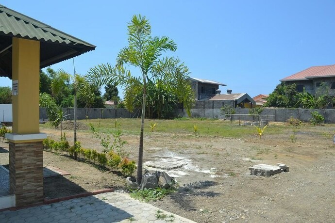 Imagen de los exteriores del Hotel Softwind Villa. Foto 30