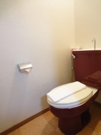 Imagen de la habitación del Hotel Soho Asakusa. Foto 2