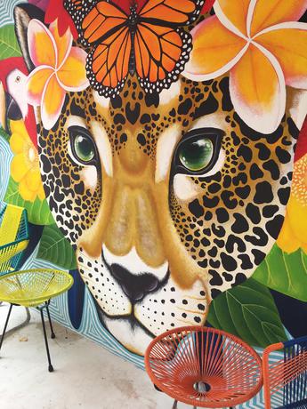 Imagen de los exteriores del Hotel Soho Boutique Holbox - Adults Only. Foto 13