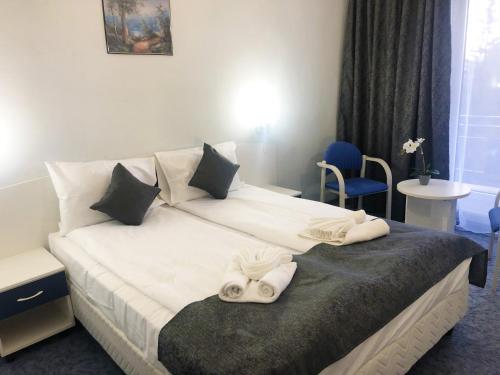 Imagen general del Hotel Soimul. Foto 4