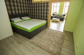 Imagen general del Hotel Sokolsk&yacute; Dům. Foto 5
