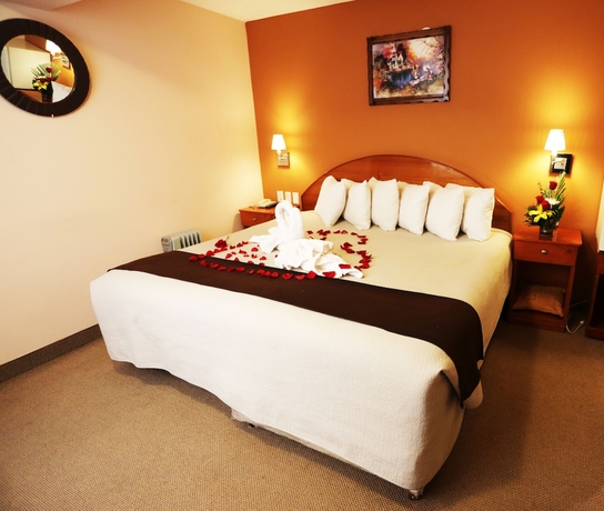 Imagen de la habitación del Hotel Sol Plaza. Foto 12