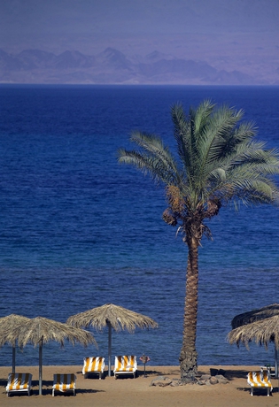 Imagen de los exteriores del Hotel Sol Taba. Foto 4