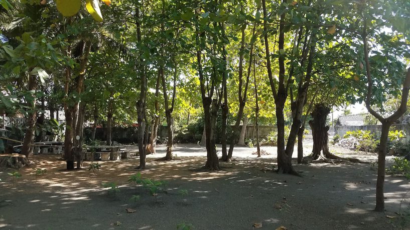 Imagen general del Hotel Sol y Playa. Foto 2