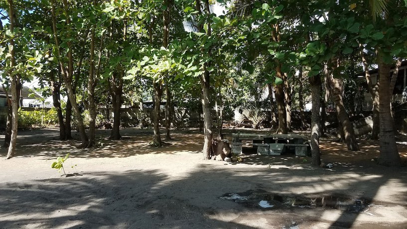 Imagen de los exteriores del Hotel Sol y Playa, Iztapa. Foto 8