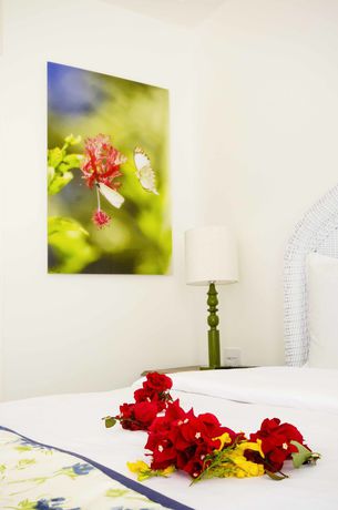 Imagen de la habitación del Hotel Solar Do Arco. Foto 4