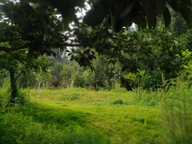 Imagen de los exteriores del Hotel Solar Foodanddrink Campsite. Foto 29