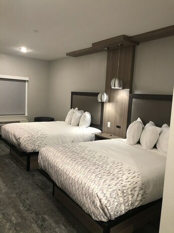 Imagen general del Hotel Solara Hobby Airport. Foto 3