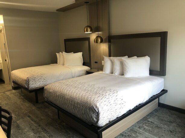 Imagen de la habitación del Hotel Solara Hobby Airport. Foto 16