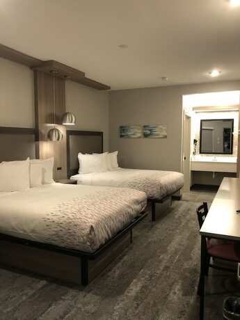 Imagen de la habitación del Hotel Solara Hobby Airport. Foto 17