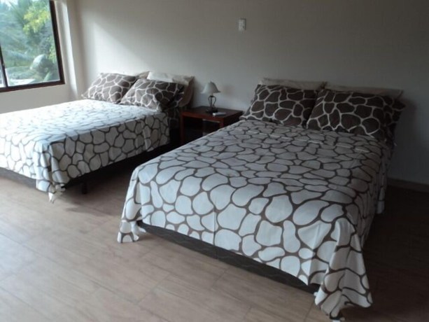 Imagen de la habitación del Hotel Solaris 25. Foto 10