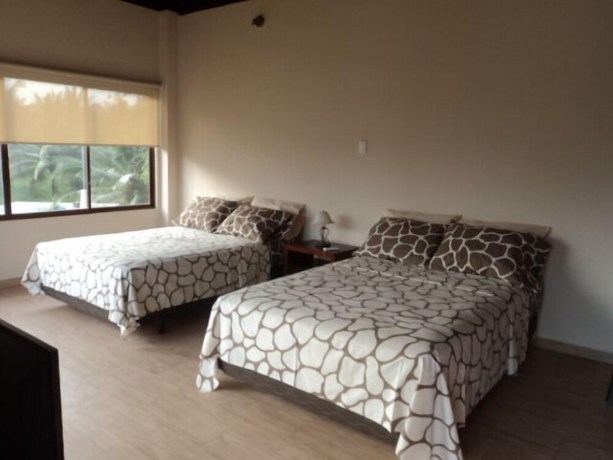 Imagen de la habitación del Hotel Solaris 25. Foto 14