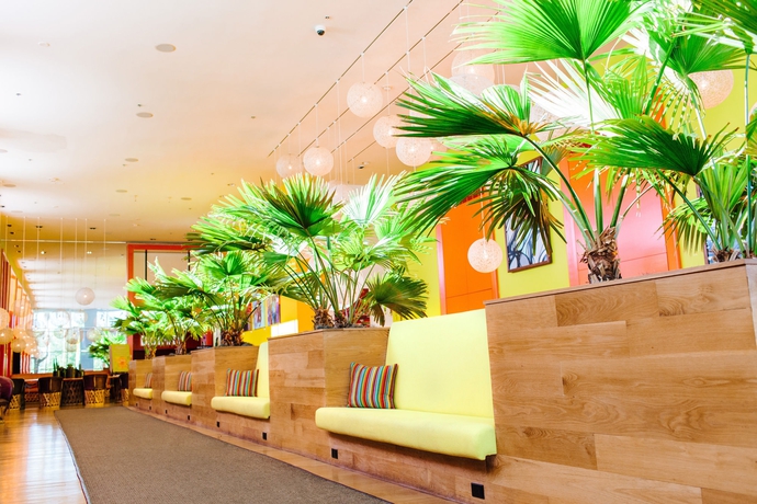 Imagen de los interiores del Hotel Solaya. Foto 12