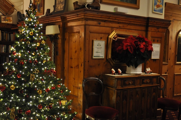 Imagen de los interiores del Hotel Soldanella. Foto 17