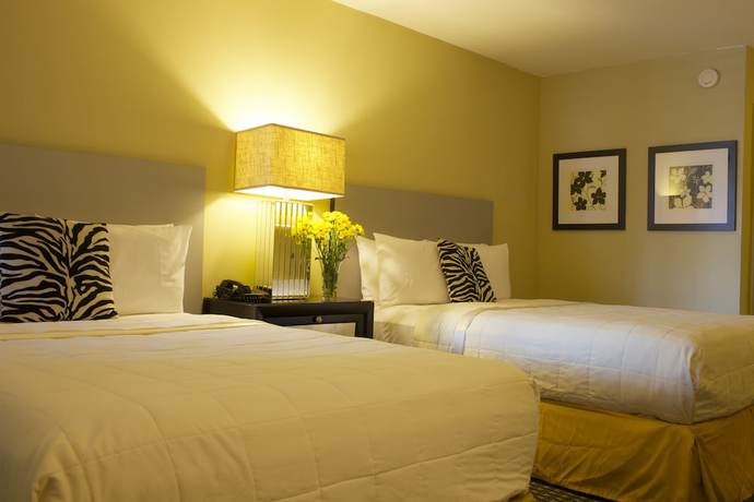 Imagen de la habitación del Hotel Sole Inn and Suites. Foto 7