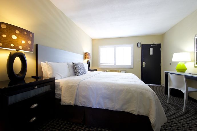 Imagen de la habitación del Hotel Sole Inn and Suites. Foto 10