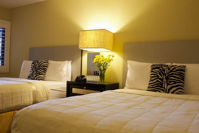 Imagen de la habitación del Hotel Sole Inn and Suites. Foto 11