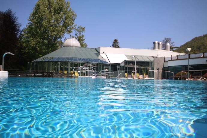 Imagen de la piscina del Hotel Solehotel Tannenhof. Foto 11