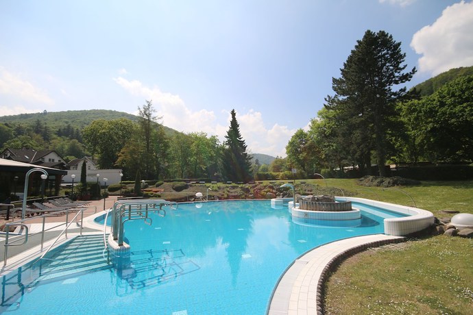 Imagen de la piscina del Hotel Solehotel Tannenhof. Foto 13