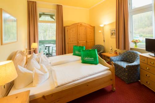 Imagen de la habitación del Hotel Solehotel Winterberg. Foto 9