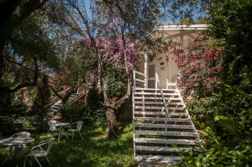 Imagen general del Hotel Soleil, Jal&euml;. Foto 11