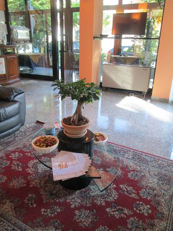 Imagen de los interiores del Hotel Solemar, Riccione. Foto 18