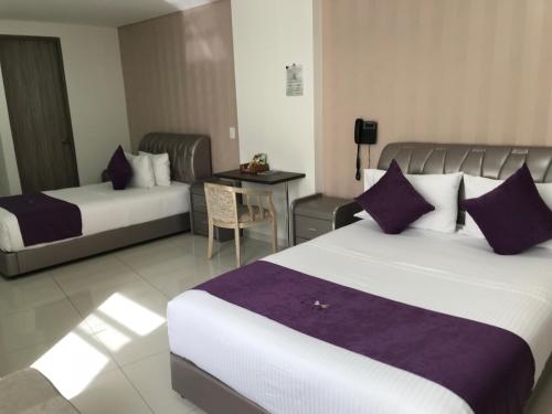 Imagen general del Hotel Solev. Foto 5
